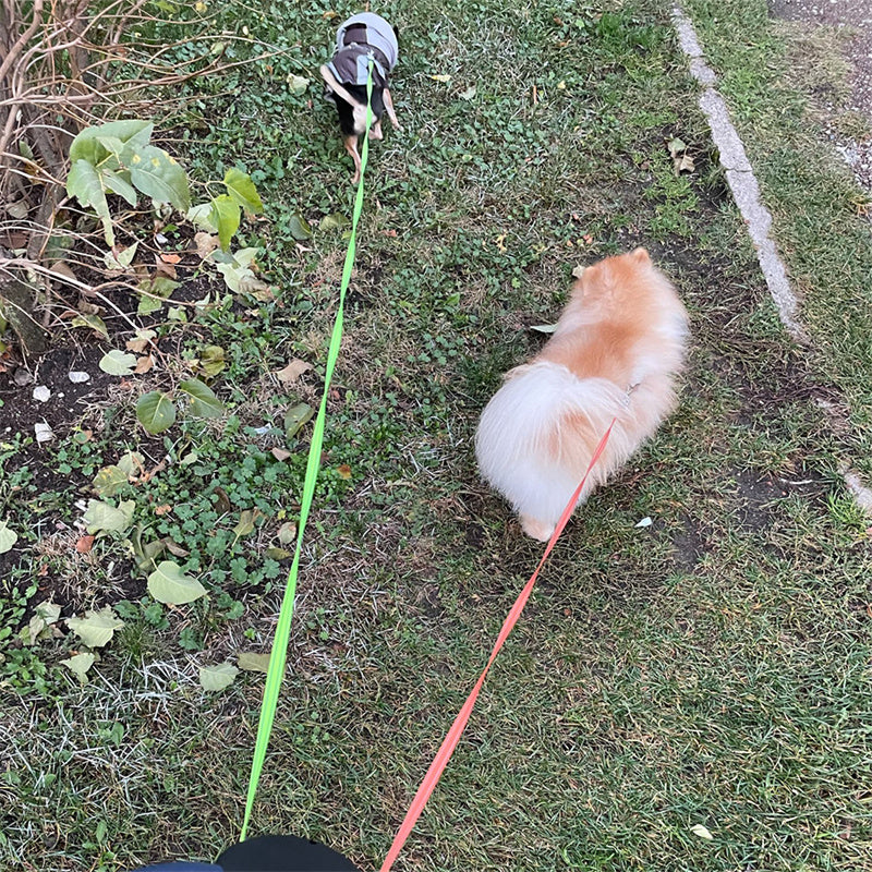 3 m intrekbare hondenriem voor kleine honden reflecterende dubbele huisdierriem 360 graden draaibaar, geen wirwar, dubbele hondenriem met verlichting voor huisdieren