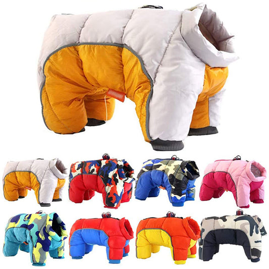 Vêtements d'hiver pour chien de compagnie épais chaud doudoune Teddy coton manteau