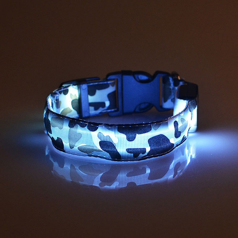 Camouflage pet supplies luminous dog collar